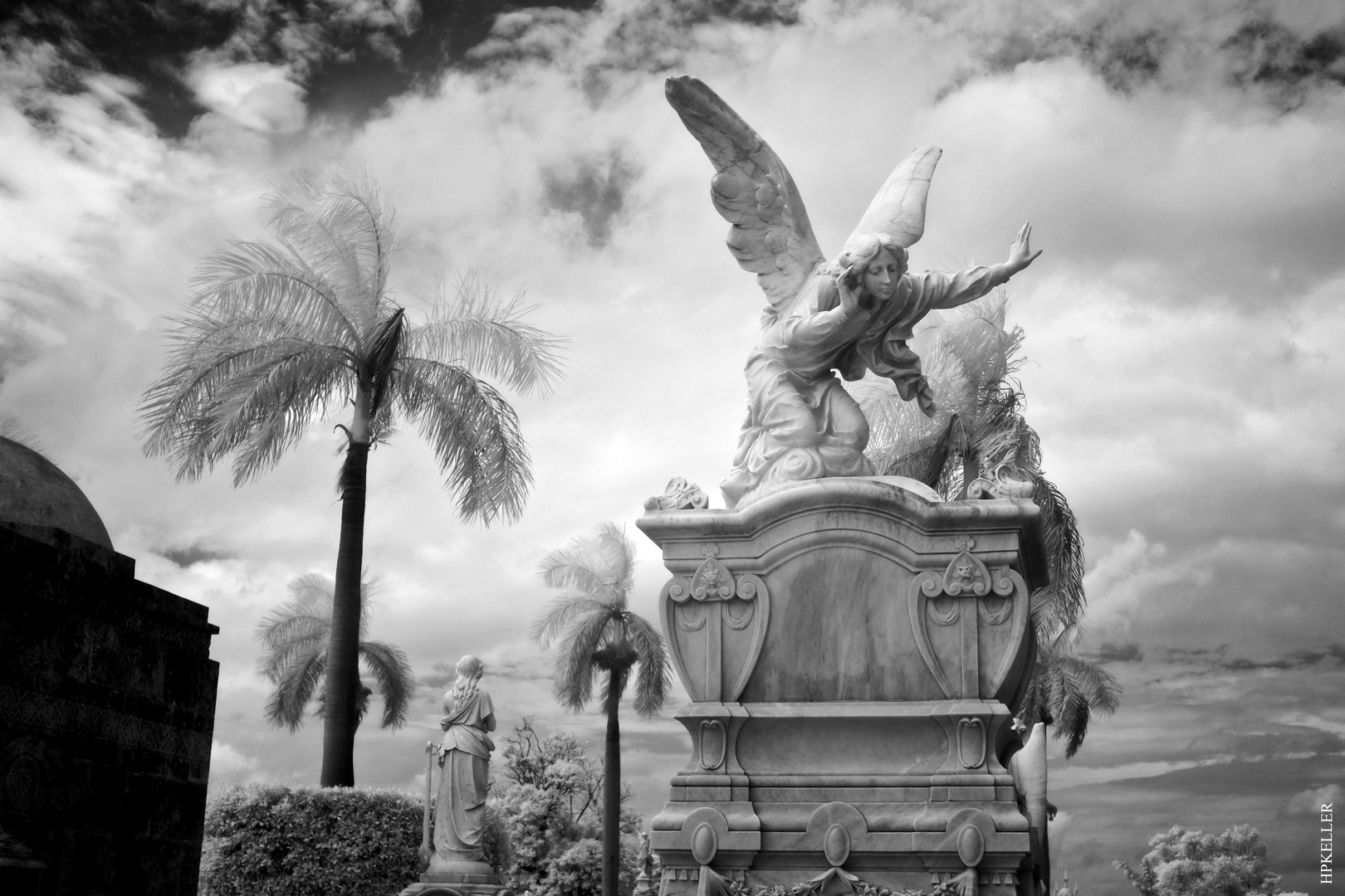 La Habana XXXI, ...in the cemetery Cristo&#769;bal Colo&#769;n_IR.