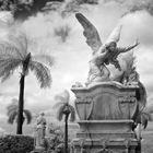 La Habana XXXI, ...in the cemetery Cristo&#769;bal Colo&#769;n_IR.