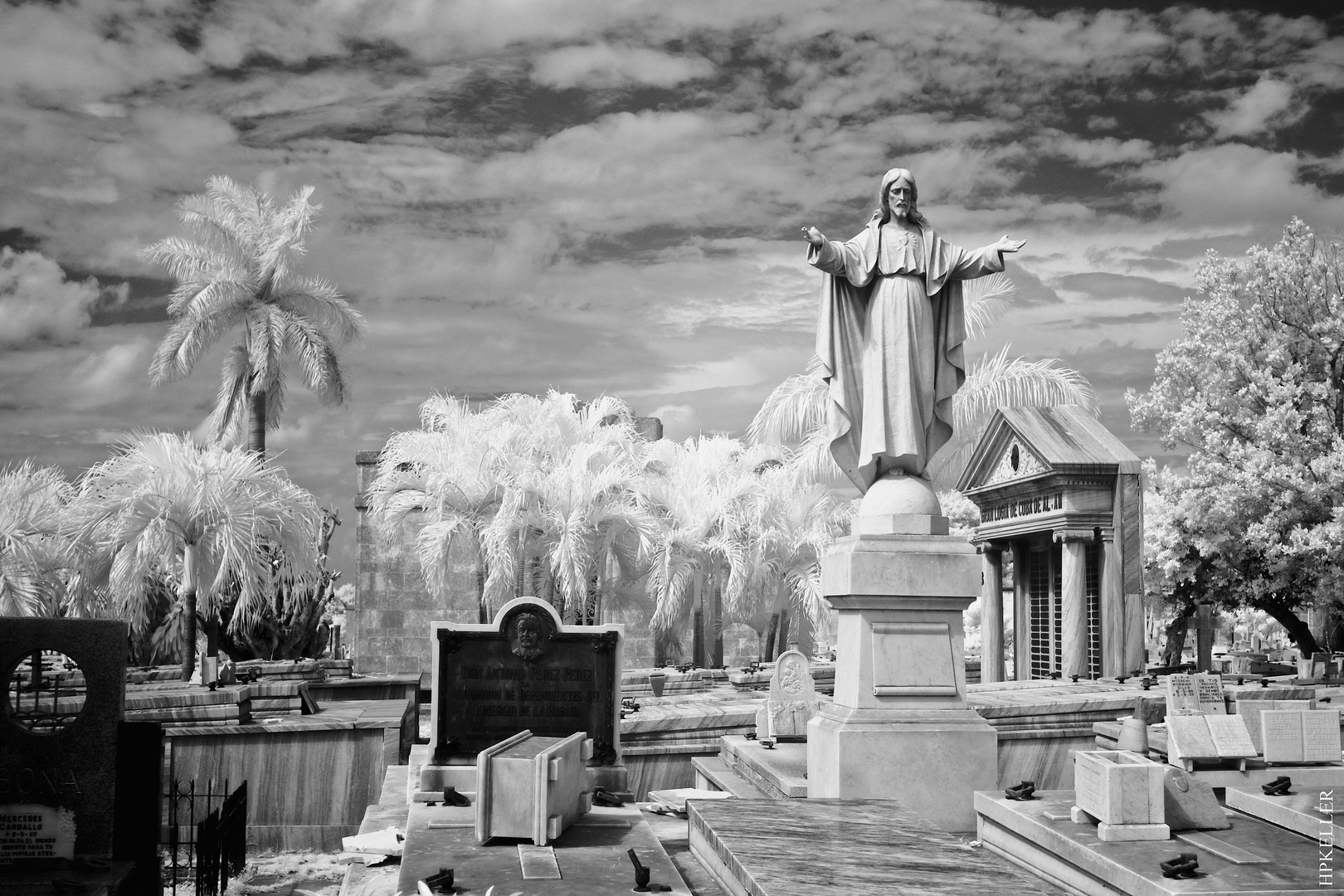 La Habana XXXV, ...in the cemetery Cristo&#769;bal Colo&#769;n _IR.