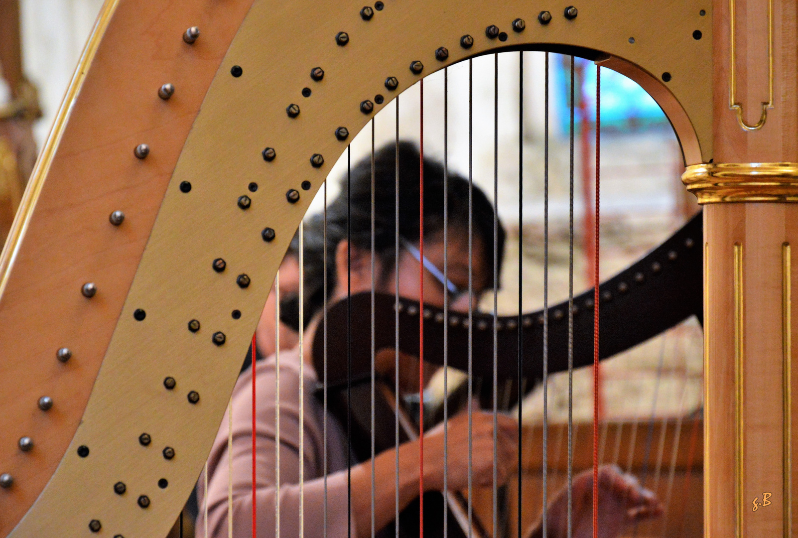 la harpe à travers les âges 