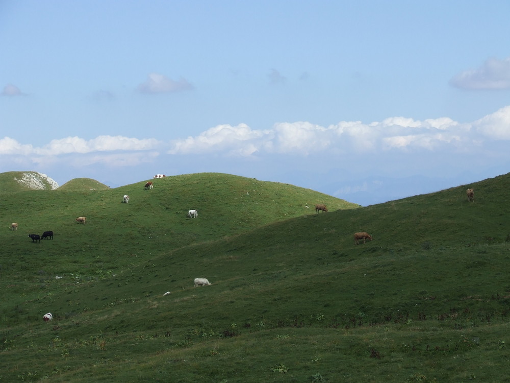 la haut sur la montagne