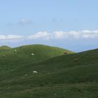 la haut sur la montagne