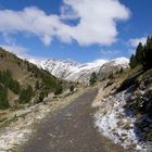 La haut sur la montagne