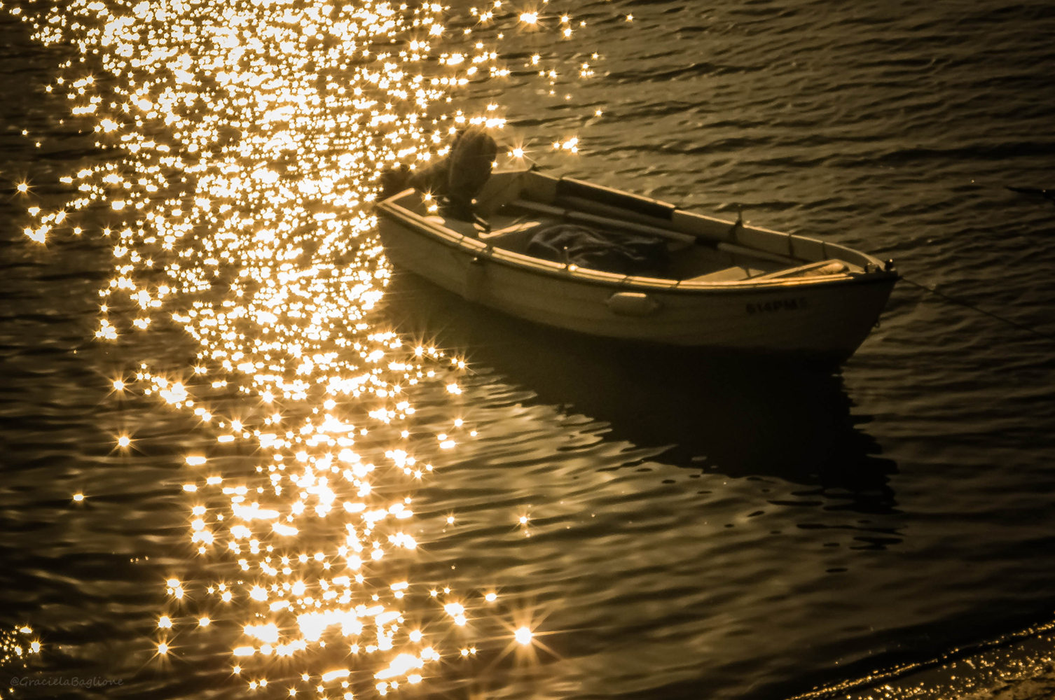 La hermandad de las estrellas.