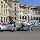 La Hofburg