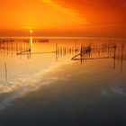 LA HORA MAGICA DE LA ALBUFERA DE VALENCIA