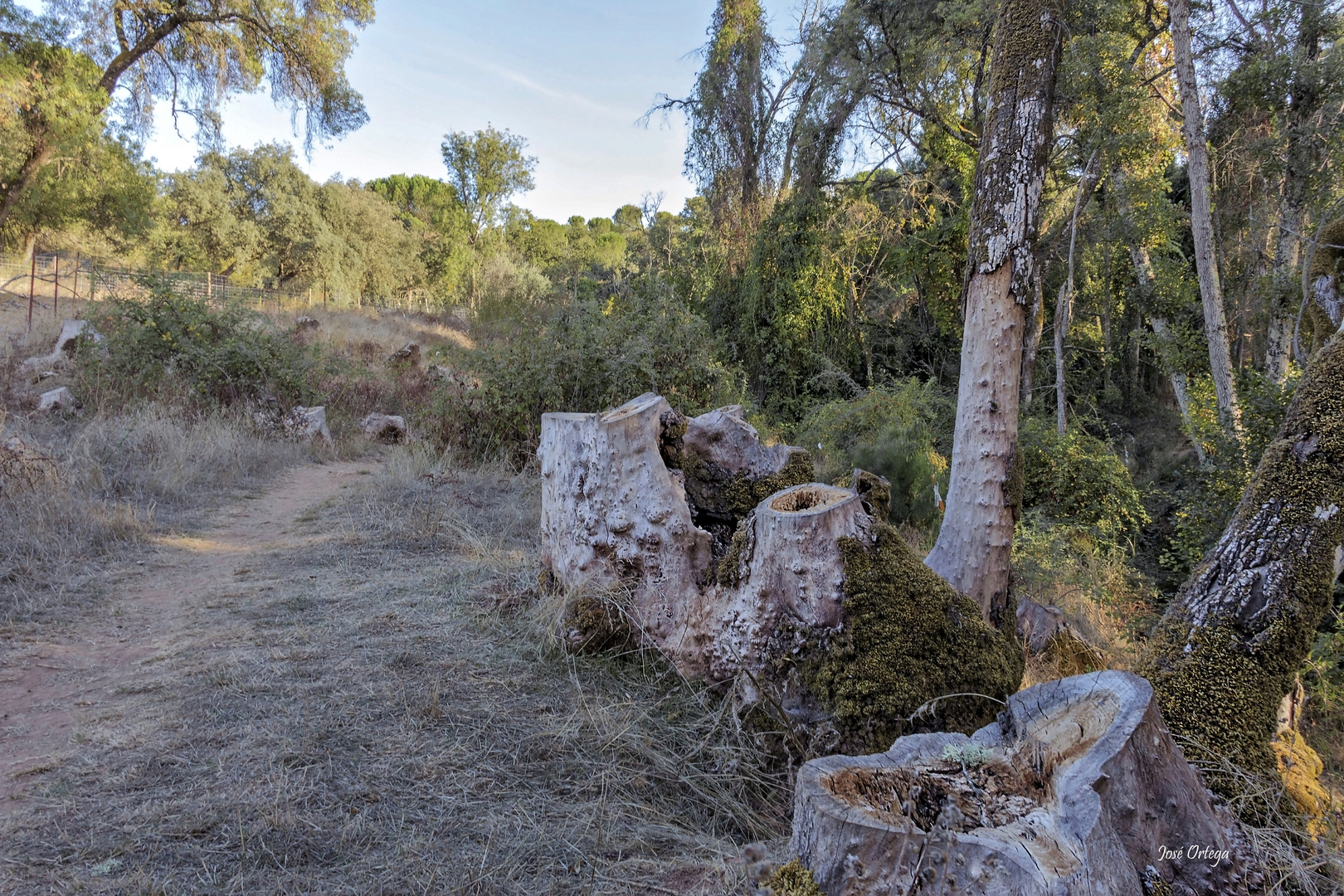 La huella del hombre