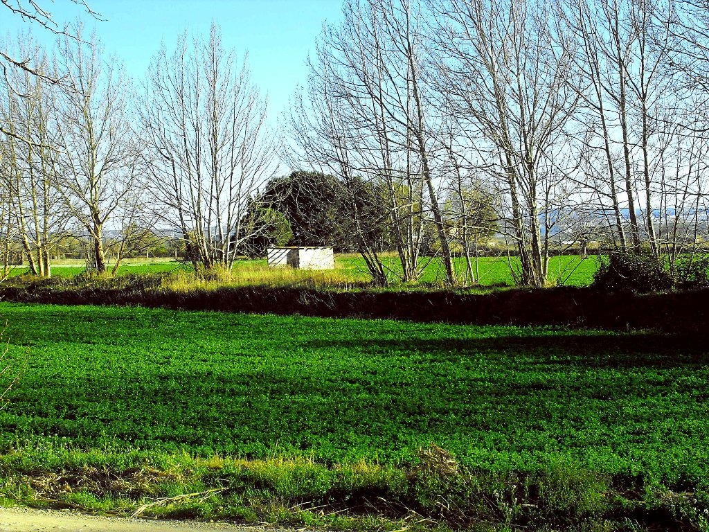 La huerta de Zaragoza