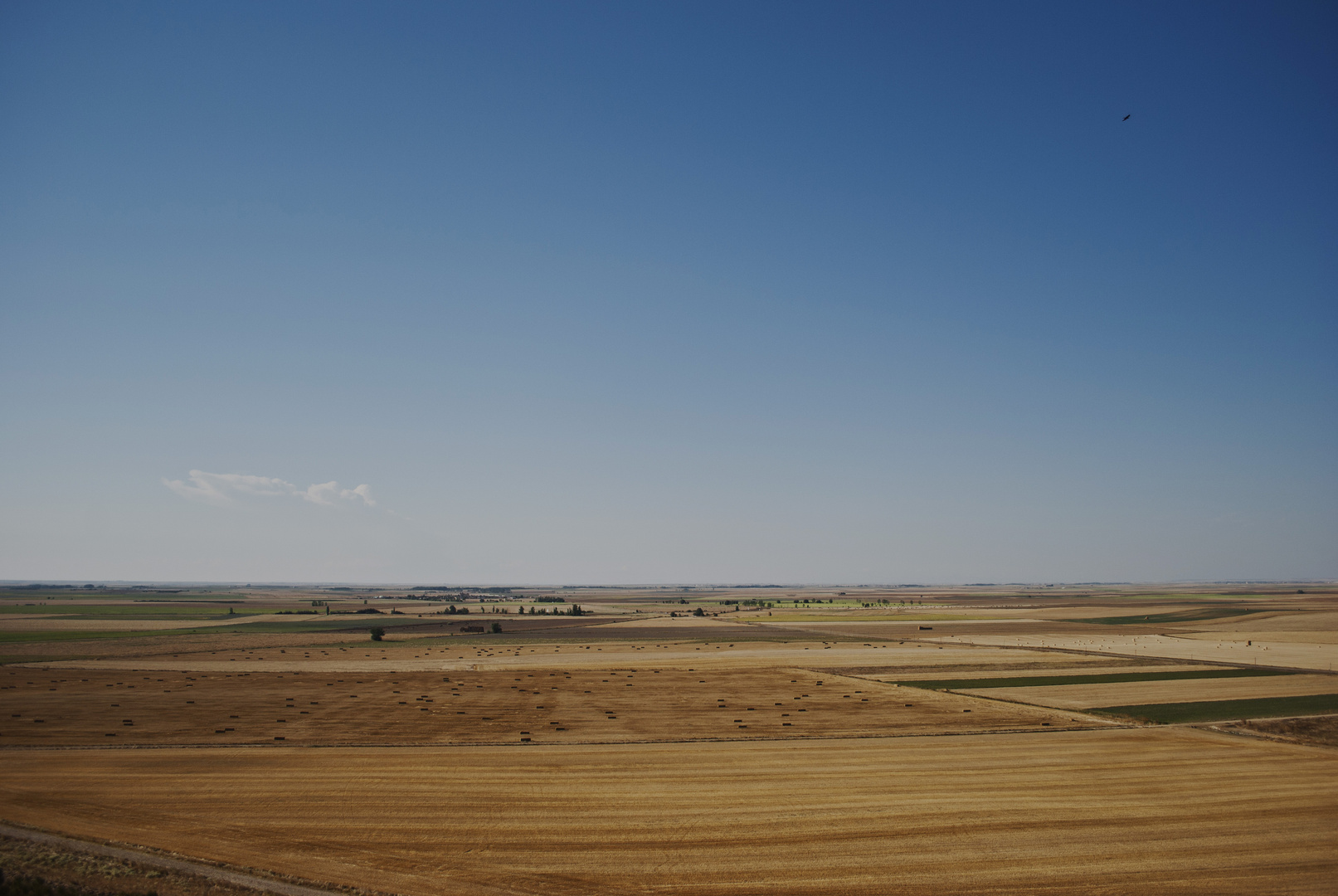 La inmensidad de los Campos de Castilla