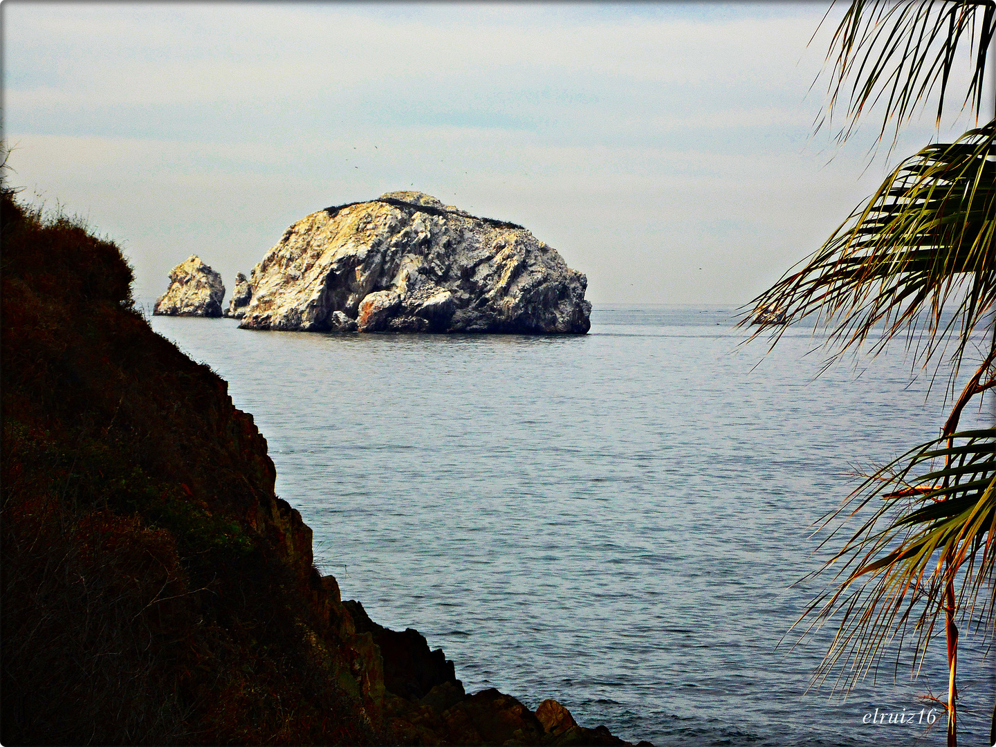 La Isla de los Pájaros.