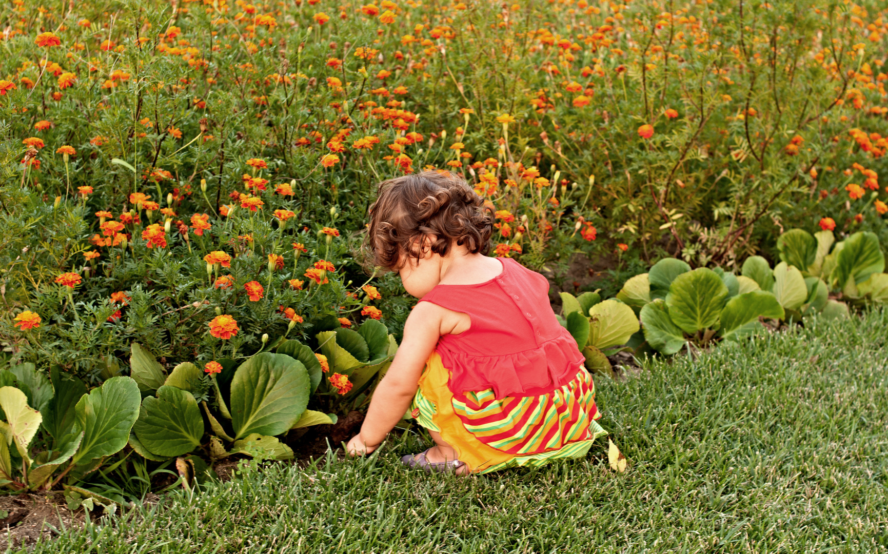 La jardinera