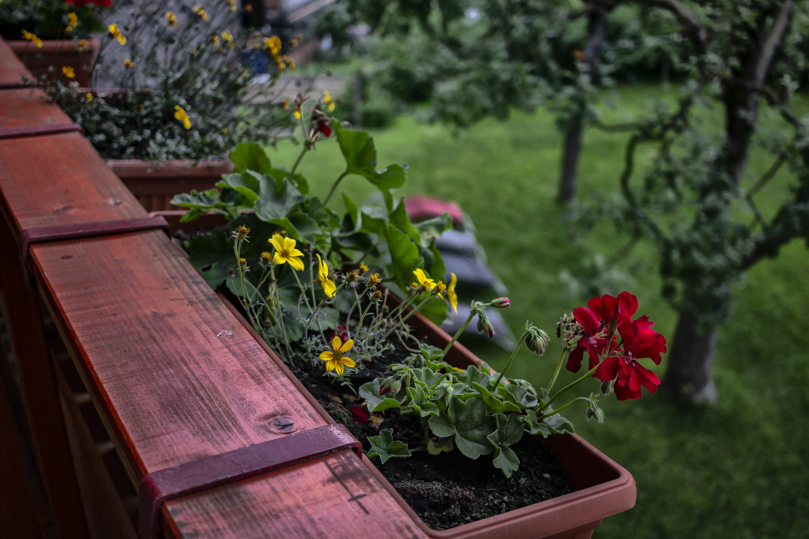 La jardinera