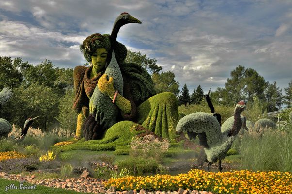 la jeune fille aux grues