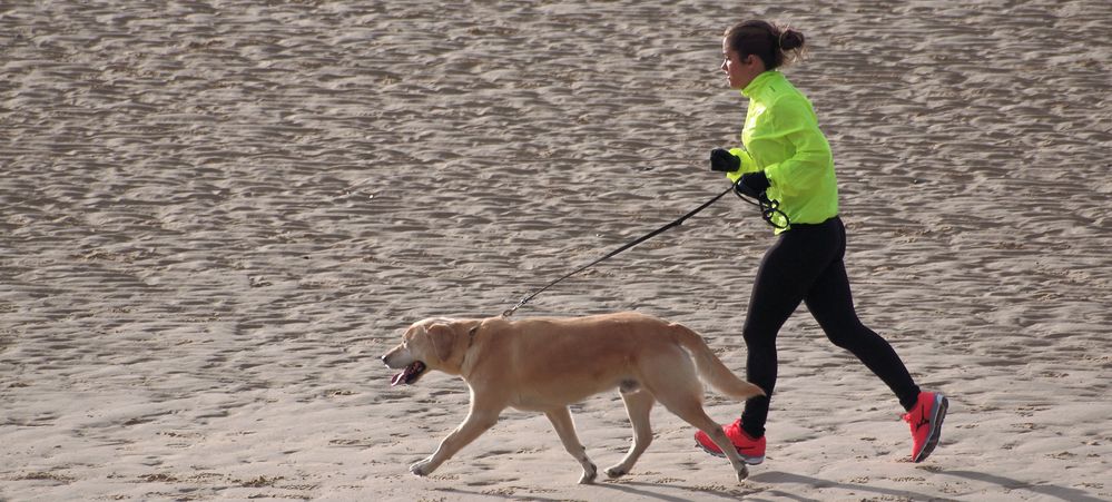 LA JOGGEUSE ET LE GOLDEN