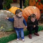 La joie à la fête de la courge 