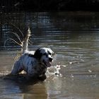 La Joie du bain .