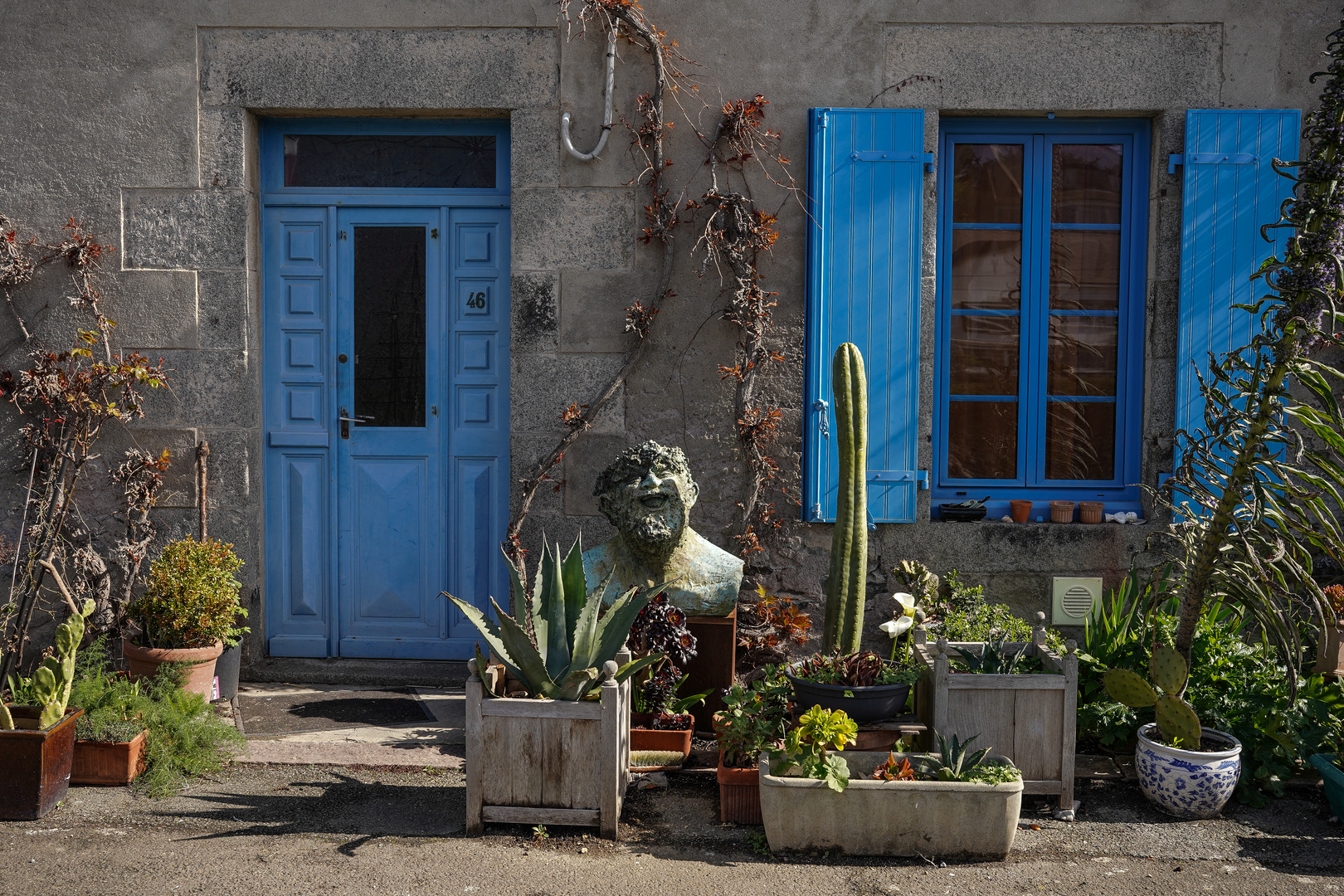 La joie parmi les plantes-1