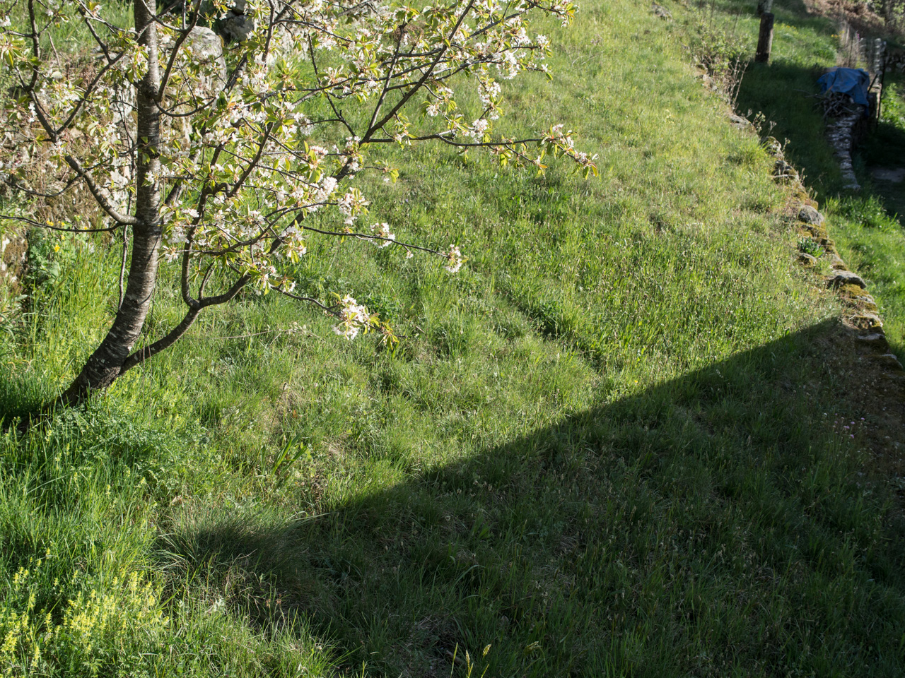 la journée se termine et je n'avais pas fait une seule photo