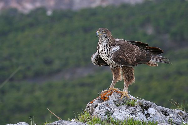 La Joya de la Serrania