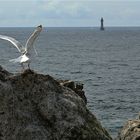 La Jumont, Ile d' Ouessant