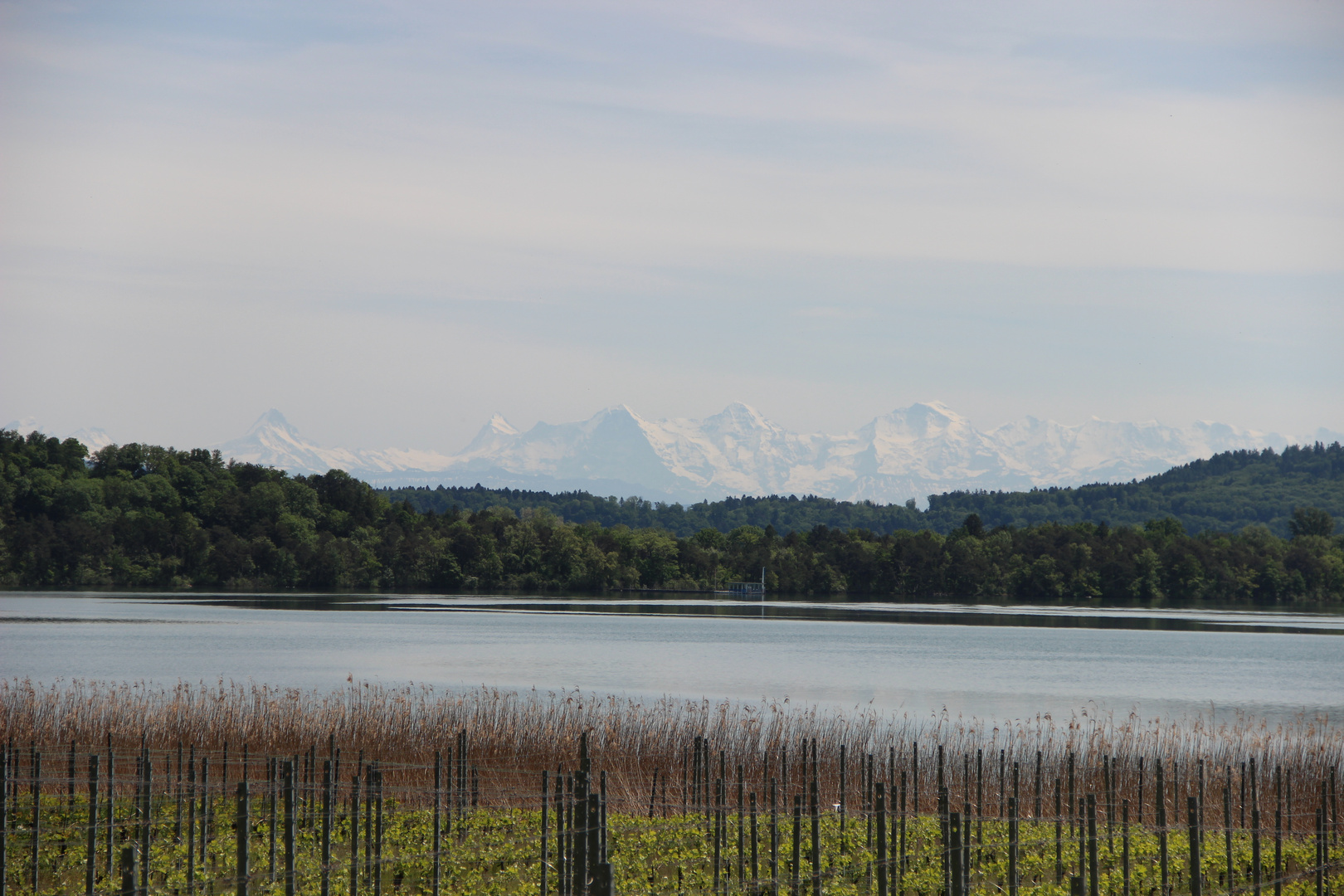 La Jungfrau depuis le lac de Bienne