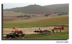 La labranza....