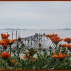 La laguna de Chascomus I