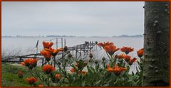 La laguna de Chascomus I