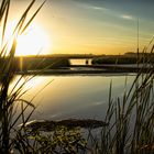 La laguna de Navarro al atardecer