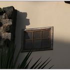 La Laguna ~ Impressionen #5 ~