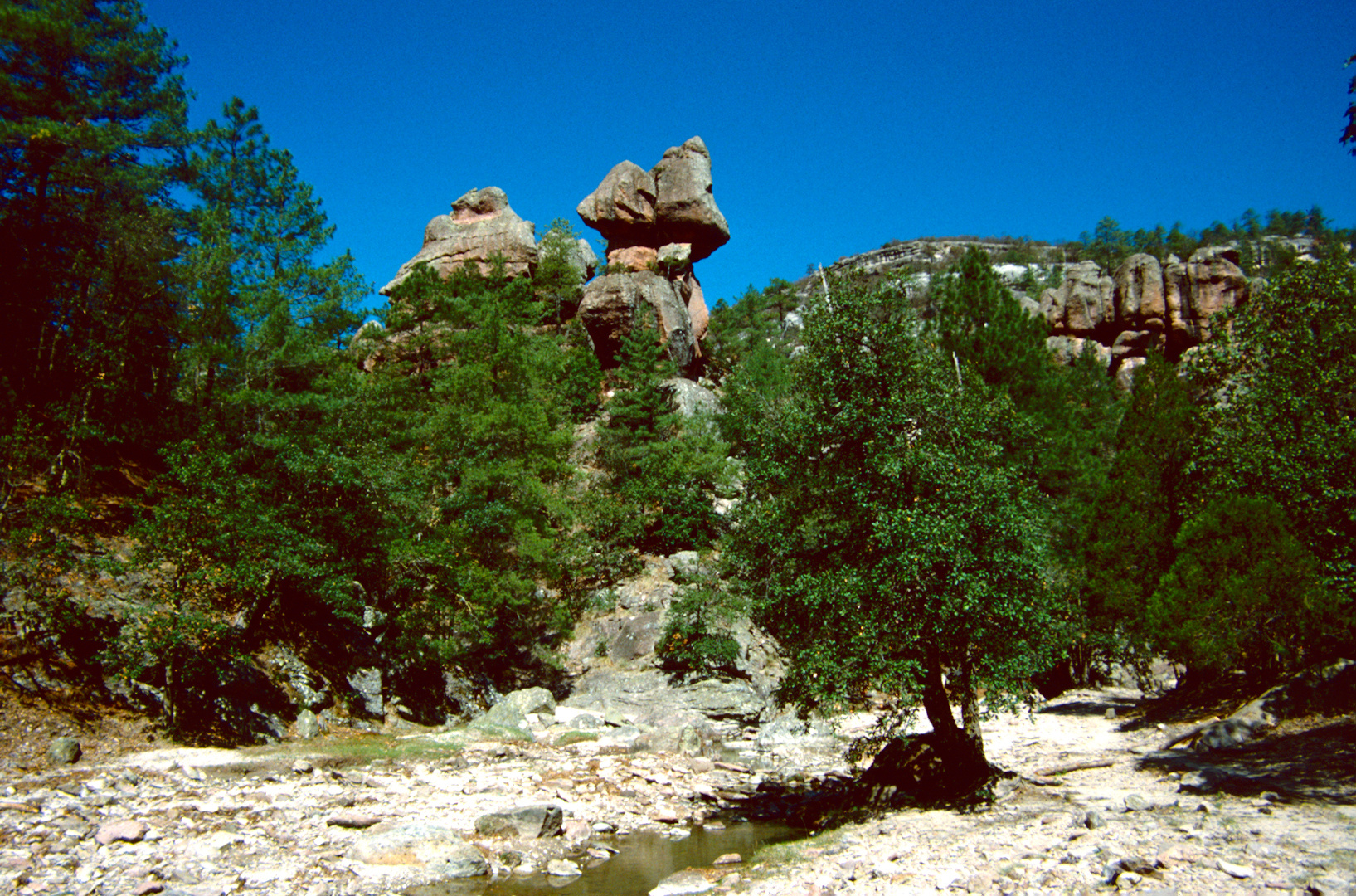 La Laja, MX - 1988