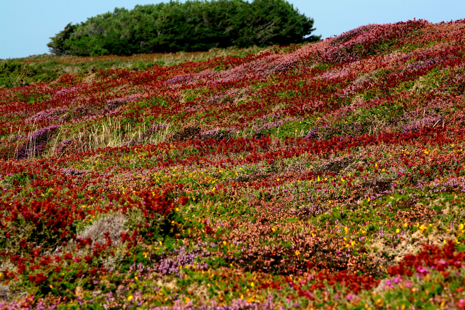 la Lande photo et image | paysages, paysages de campagne, village et ...