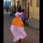 La lande de Barbarie ( Senegal )