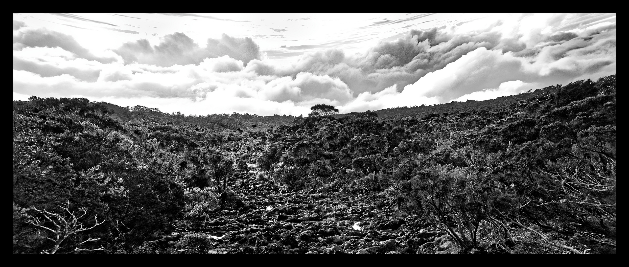 la lande de la plaine des Caffes