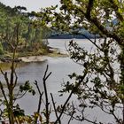 La Laïta près du pont St-Maurice 2