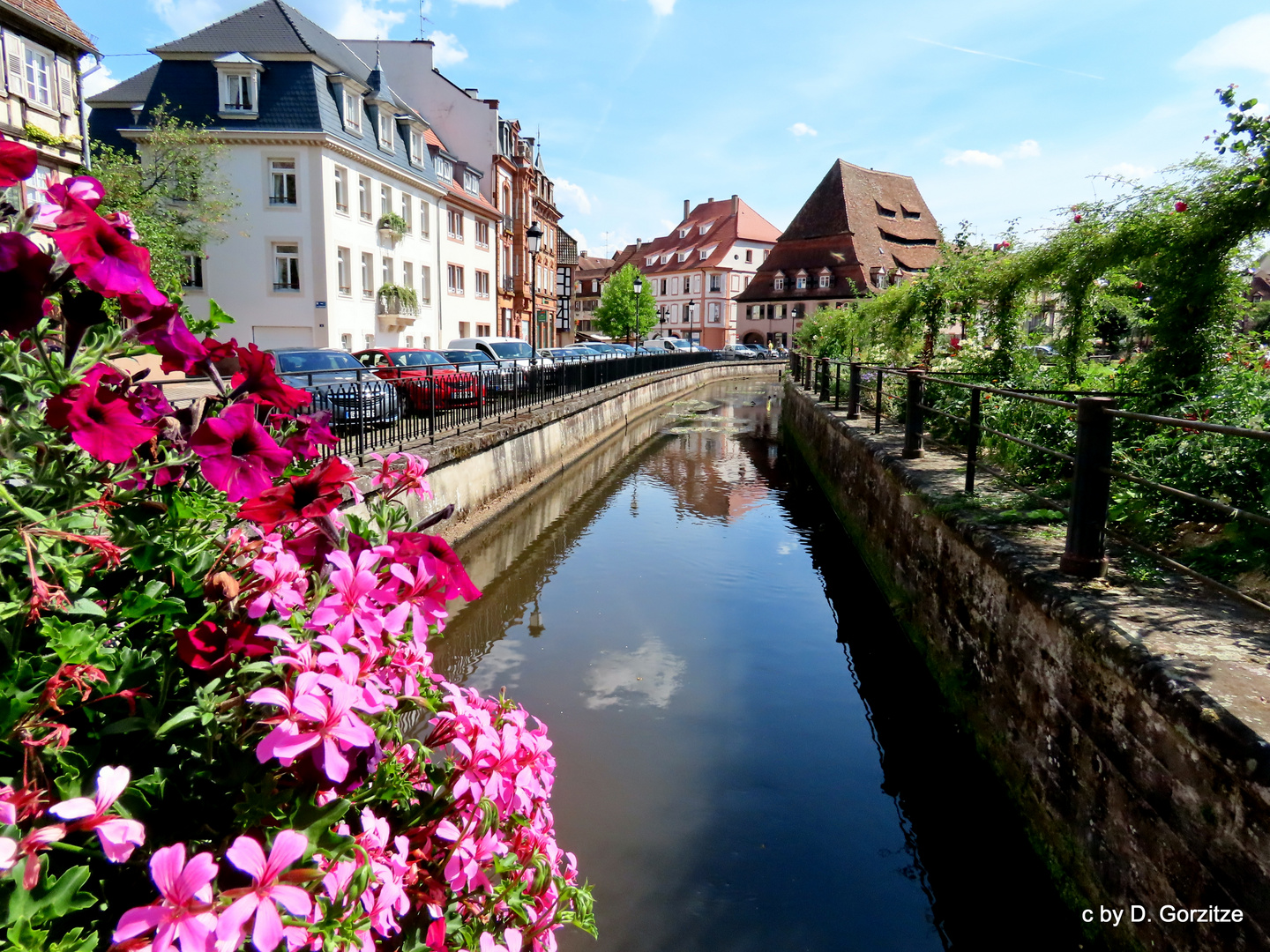 La Lauter in Wissembourg !