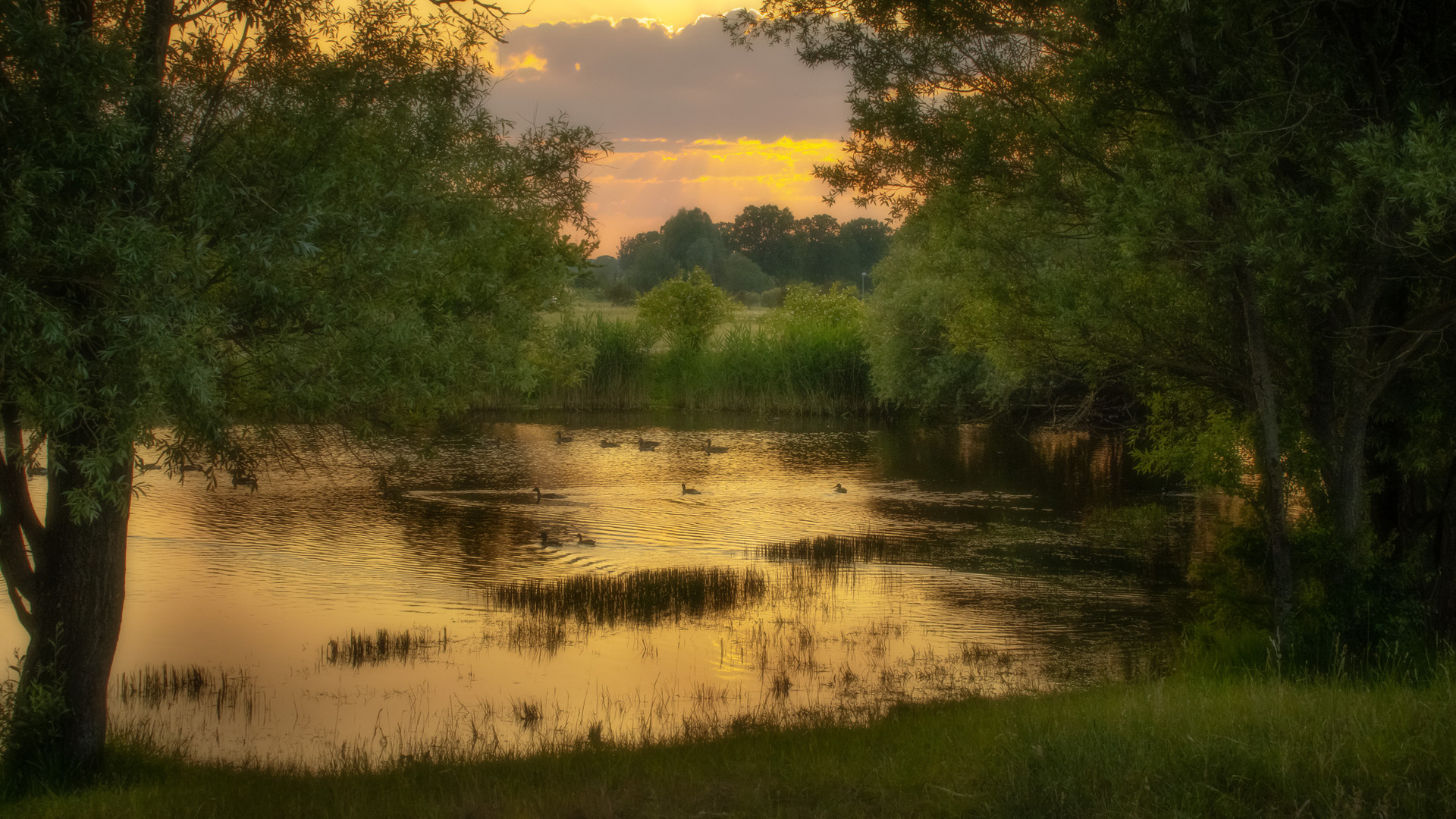 La Le Lu Foto & Bild sonnenuntergang, brandenburg, natur Bilder auf