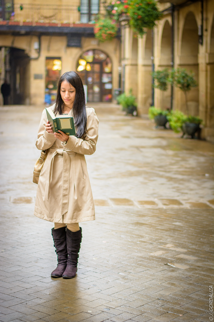 La lectora de libros