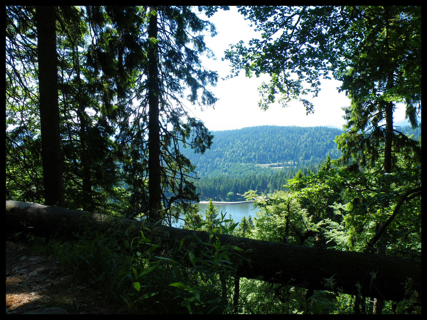 La légende du lac vert