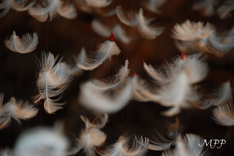 La légèreté d'une plume