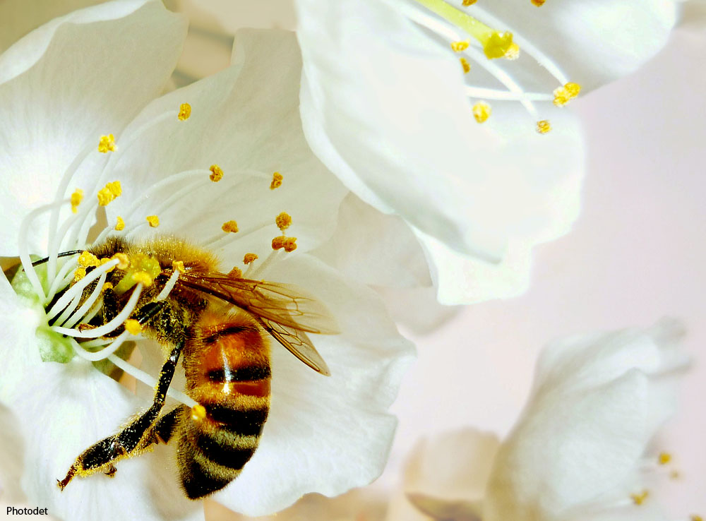 La legge della natura