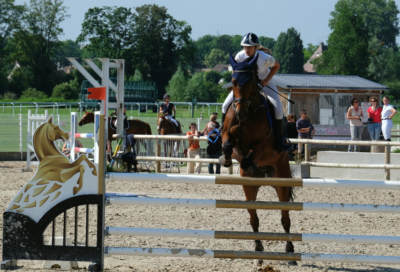 la levée photo et image cso, sujets, sport hippique Images