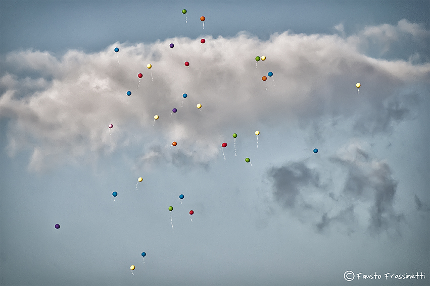 La Libertà di Volare