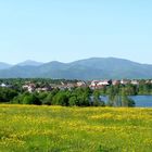 La ligne bleue des Vosges.