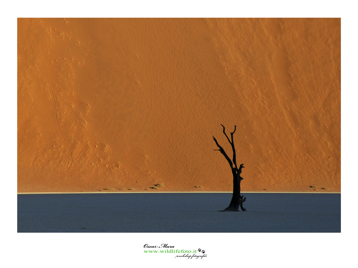 la linea di luce #sossusvlei  #namibia www.wildlifefoto.it 