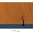 la linea di luce #sossusvlei  #namibia www.wildlifefoto.it 