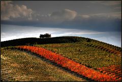 La linea rossa