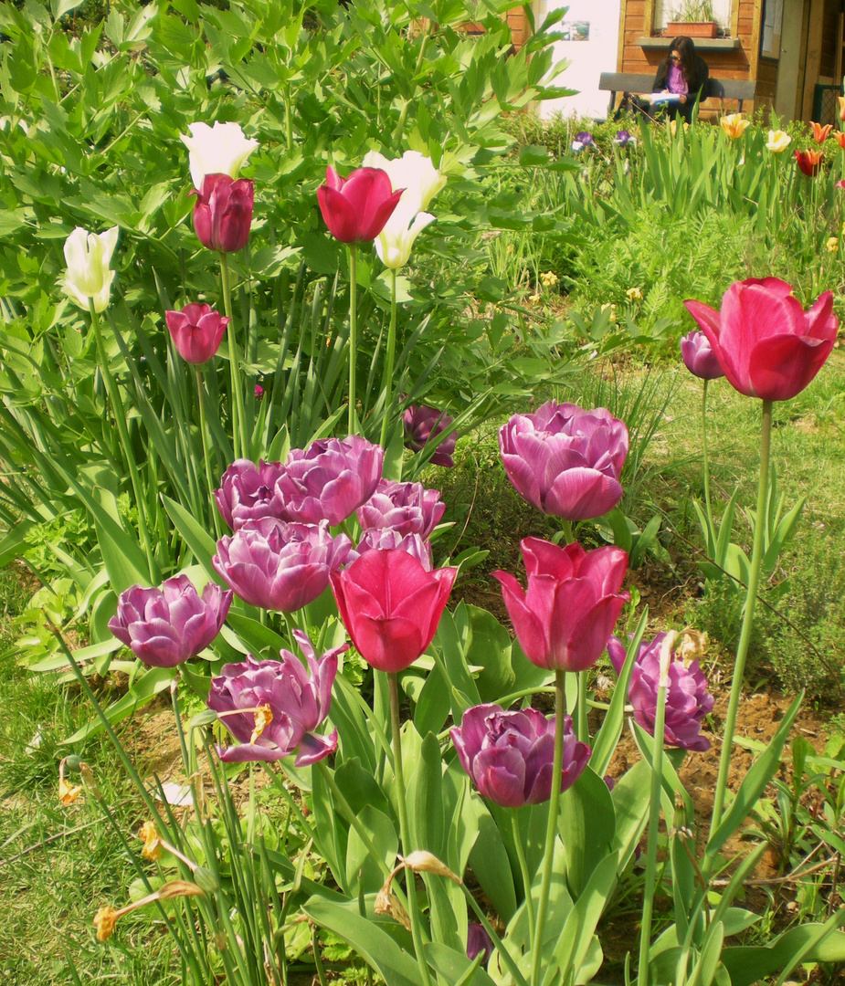 La liseuse aux tulipes