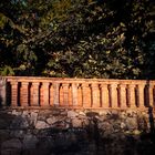 La llum de tardor a la tanca del jardí