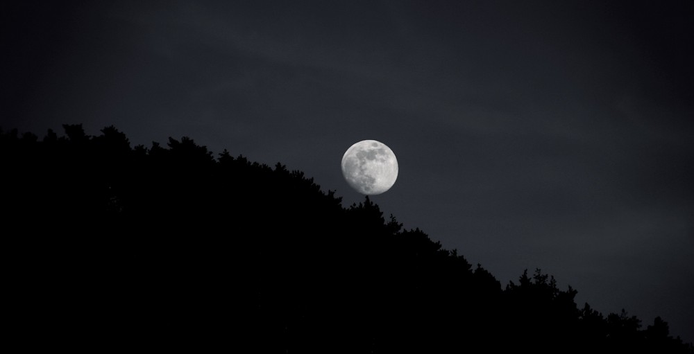 La lluna i el bosc